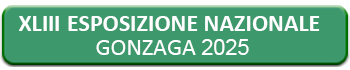 ingabbio 2021