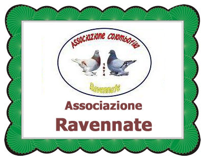 club rodigini